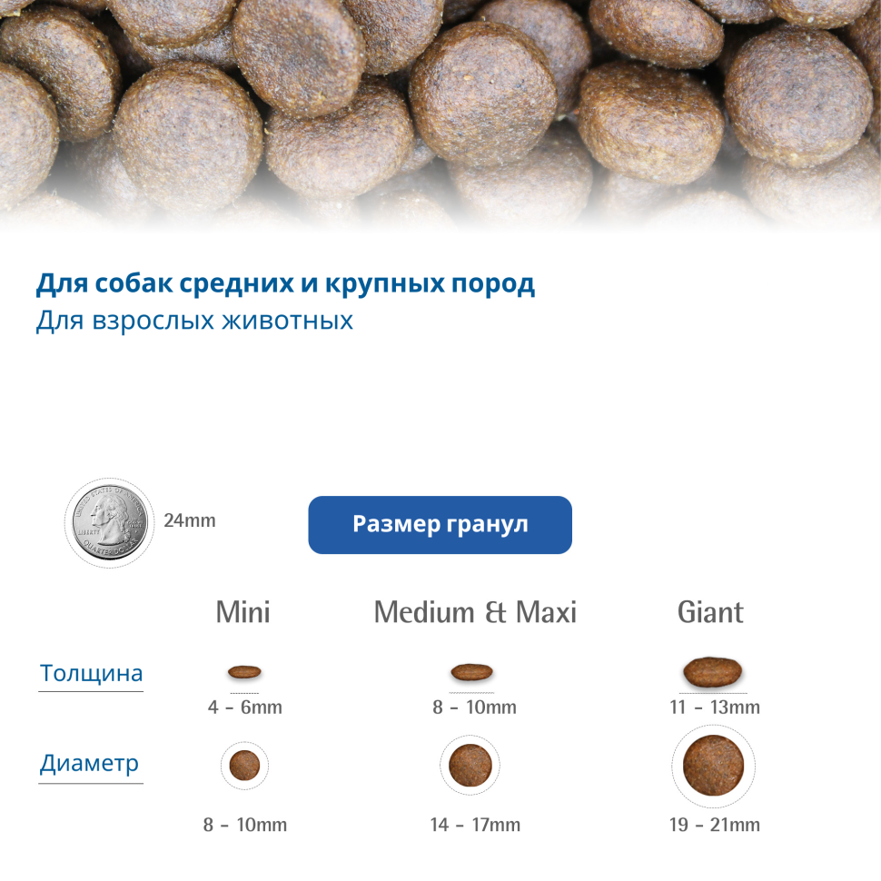 Farmina ОЛЕНИНА-ЯБЛОКО-ТЫКВА для СРЕДНИХ и КРУПНЫХ пород 12кг