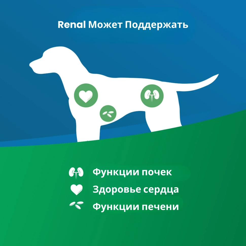 Farmina RENAL, при ХПН и почечной недостаточности 300гр