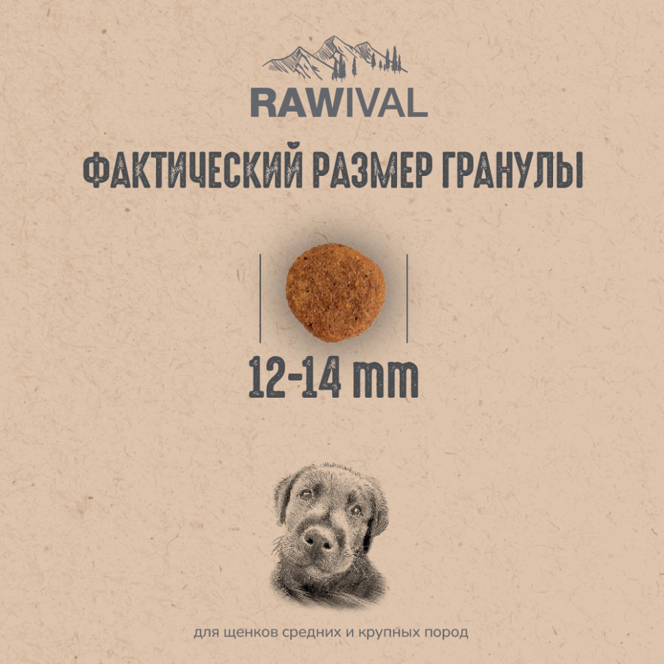 RAWIVAL ЯГНЁНОК и ПЕРЕПЁЛКА для собак средних и крупных пород 2,5кг