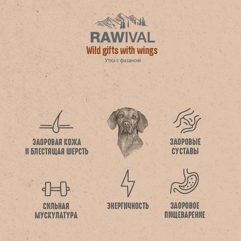 RAWIVAL УТКА и ФАЗАН, для собак средних и крупных пород 10кг