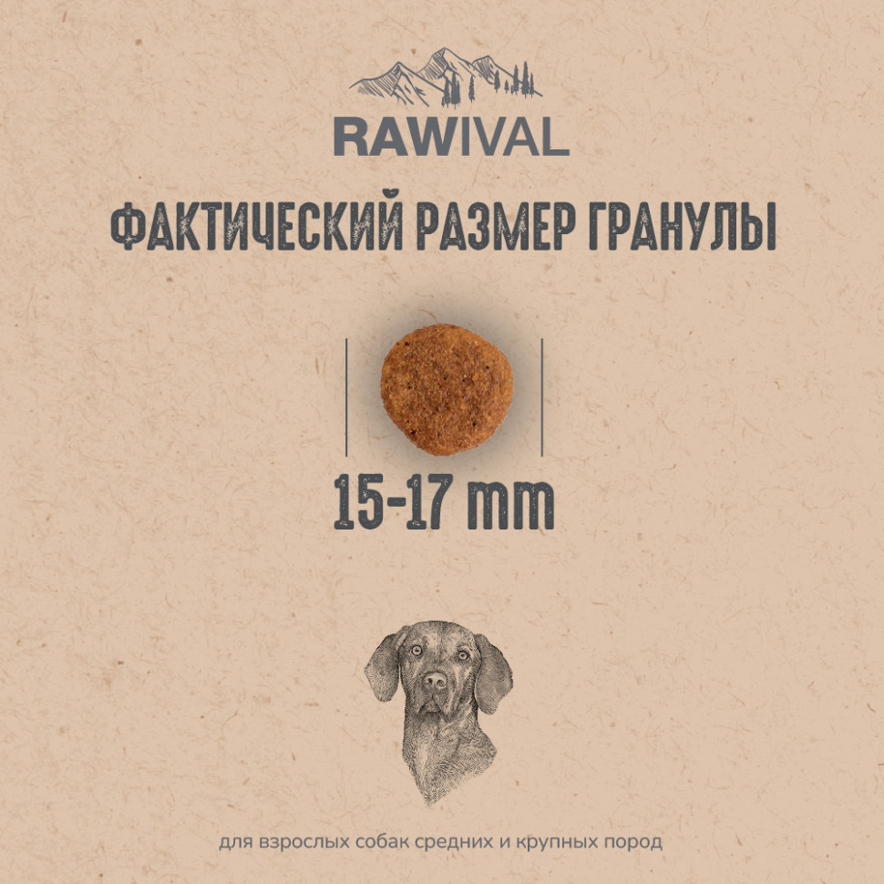 RAWIVAL ЛОСОСЬ и СЕЛЬДЬ для собак средних и крупных пород 10кг