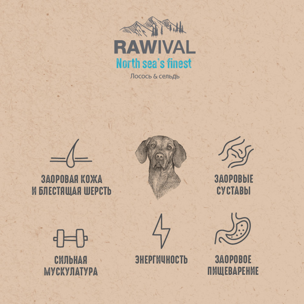RAWIVAL ЛОСОСЬ и СЕЛЬДЬ для собак средних и крупных пород 2,5кг