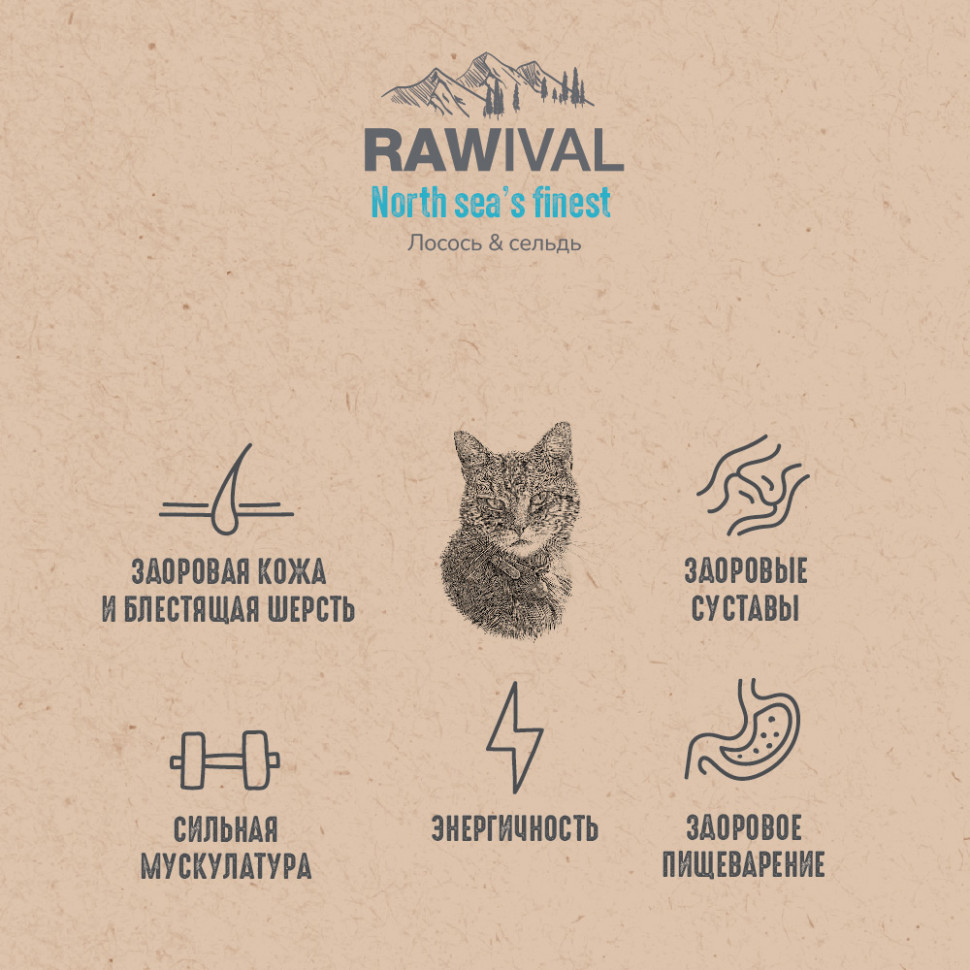 RAWIVAL ЛОСОСЬ и СЕЛЬДЬ для взрослых кошек 5 кг