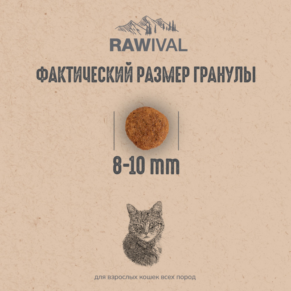 RAWIVAL ЛОСОСЬ и СЕЛЬДЬ для взрослых кошек 5 кг
