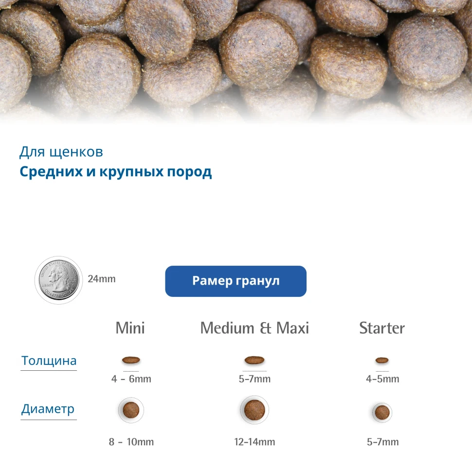 Farmina низкозерновая ЯГНЁНОК-ЧЕРНИКА для щенков СРЕДНИХ и КРУПНЫХ пород 2,5кг