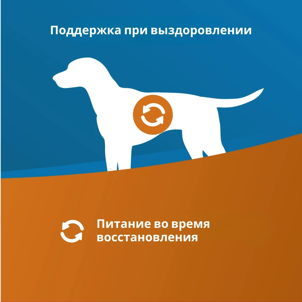 Farmina CONVALESCENCE, в период восстановления 300гр